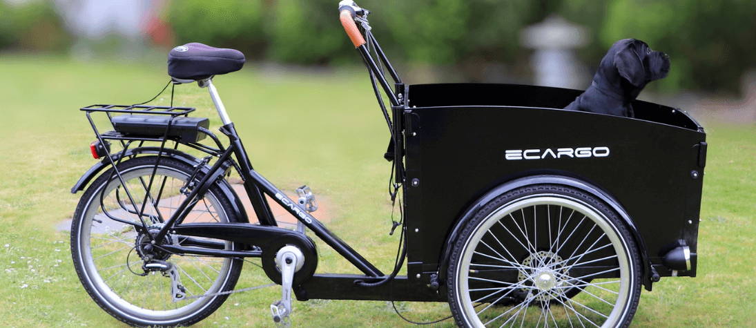 How to choose your electric bicycle Upway Upway